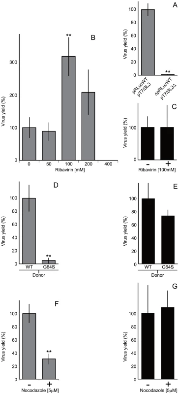 Comparison of the CRE-REP with non-replicative recombination assays and the influence of the viral polymerase on recombination.