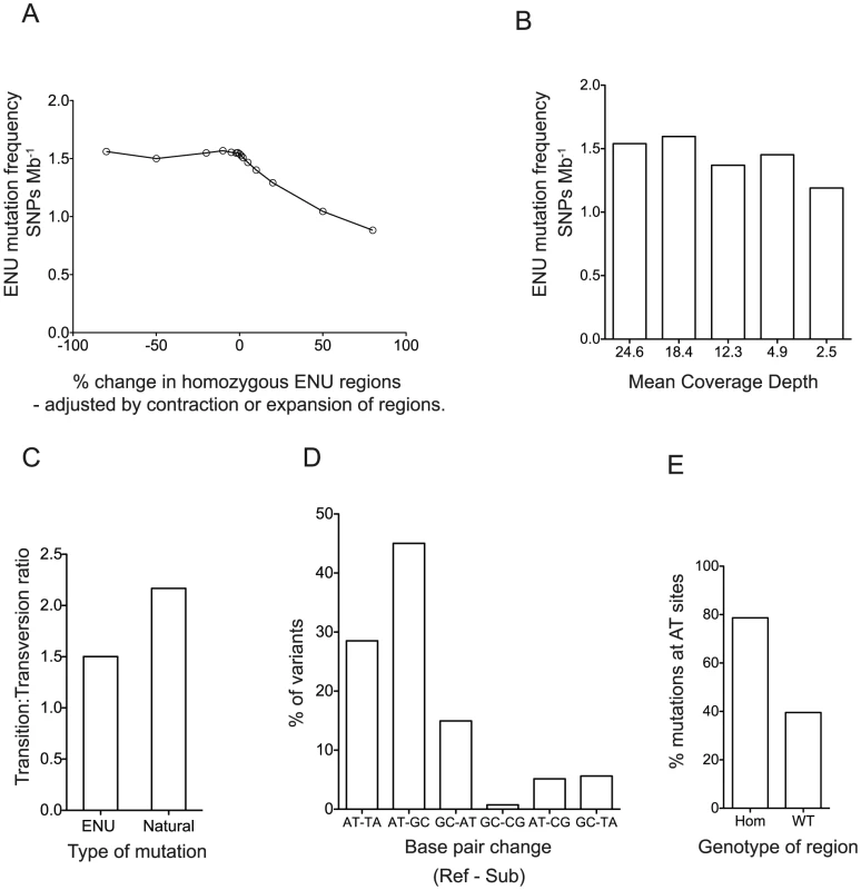 Characterization of the ENU Mutations.
