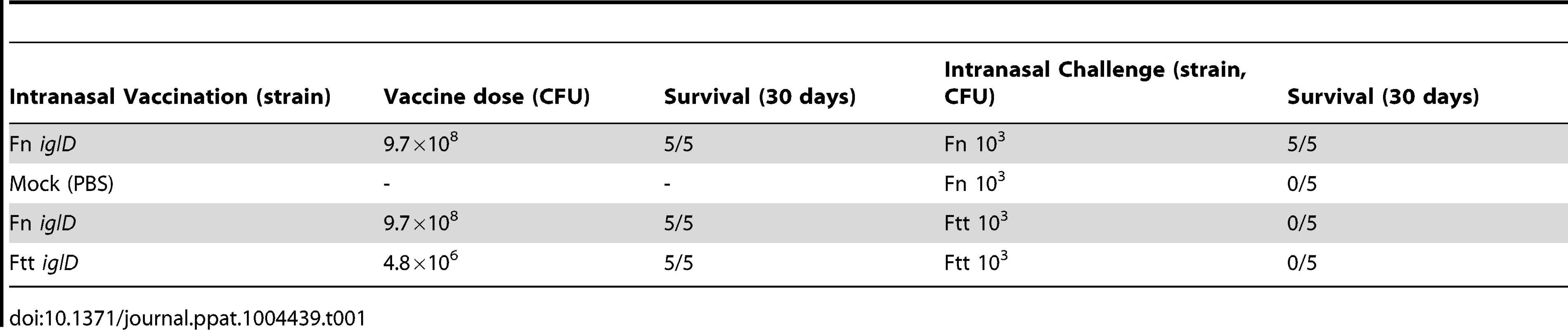 Vaccination of mice with Fn <i>iglD</i> or Ftt <i>iglD</i> does not protect against Ftt challenge.