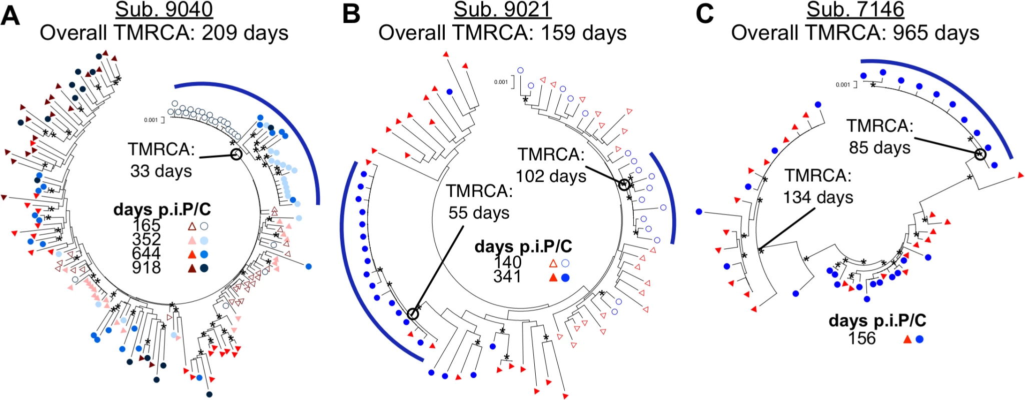 Compartmentalization can persist and evolve independently within the CSF over time.