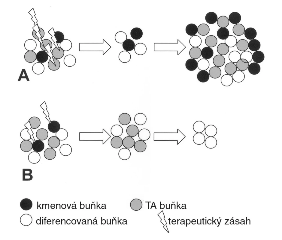 V současné době je možný terapeutický zásah zejména vůči „transient amplifying“ buňkám, které se rychle dělí a mají vlastnosti nádorového progenitoru. Tímto způsobem dojde k redukci masy nádoru. Kmenové buňky však přežívají, a mohou být reaktivovány (A). Pokud by se podařilo zasáhnout nádorové kmenové buňky, zmenšení nádoru by nebylo tak velké, ale postupně by došlo k jeho regresi (B).
