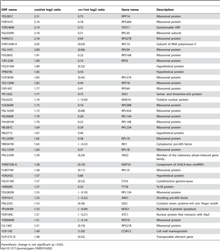 Genes markedly up-regulated in <i>arp6</i> cells.