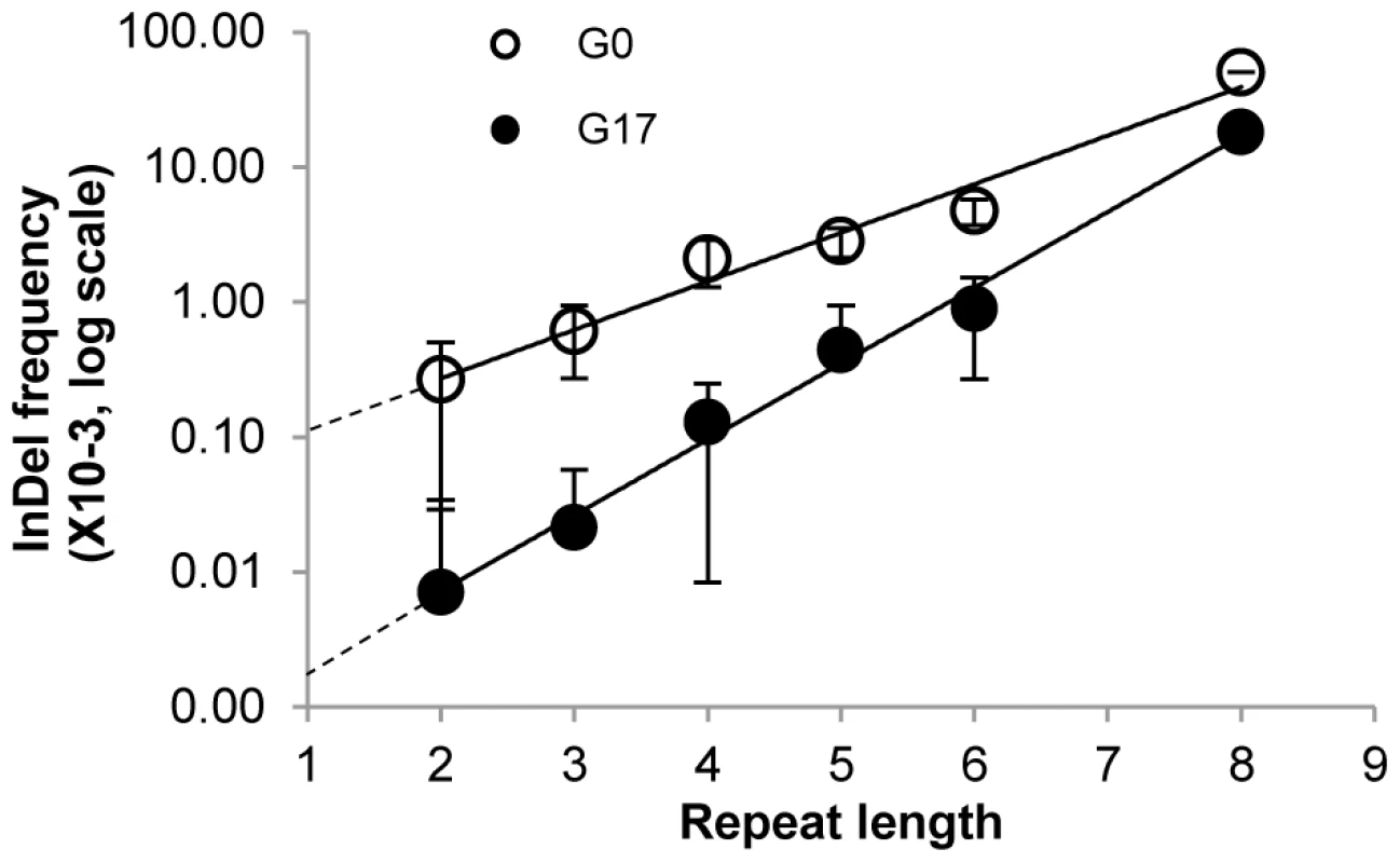 Average InDel frequencies by repeat lengths.
