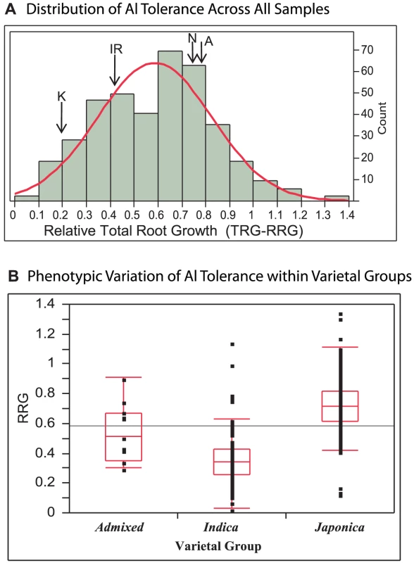 Distribution of Al Tolerance in Rice Diversity Panel.