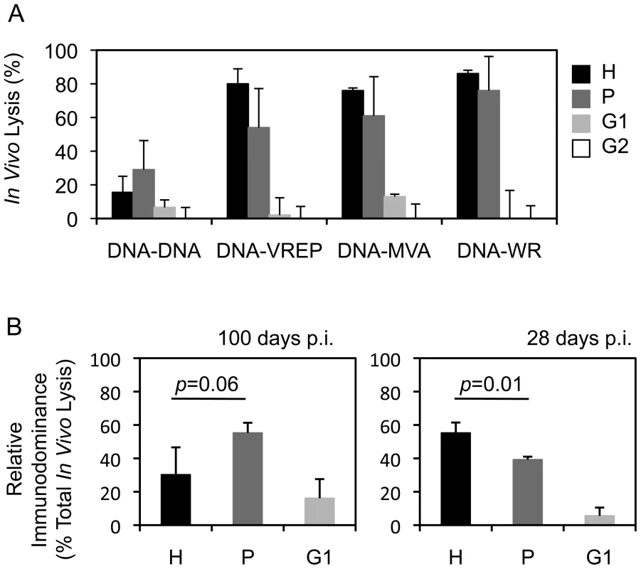 Vector of the boost vaccine influences the epitope hierarchy.