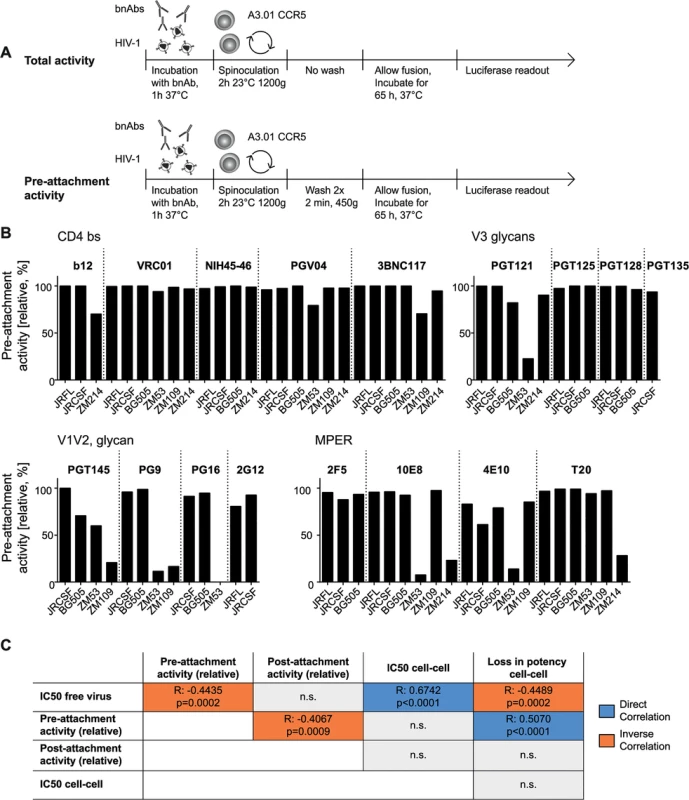 The capacity to neutralize free viruses prior to completion of CD4 attachment varies across bnAb classes.