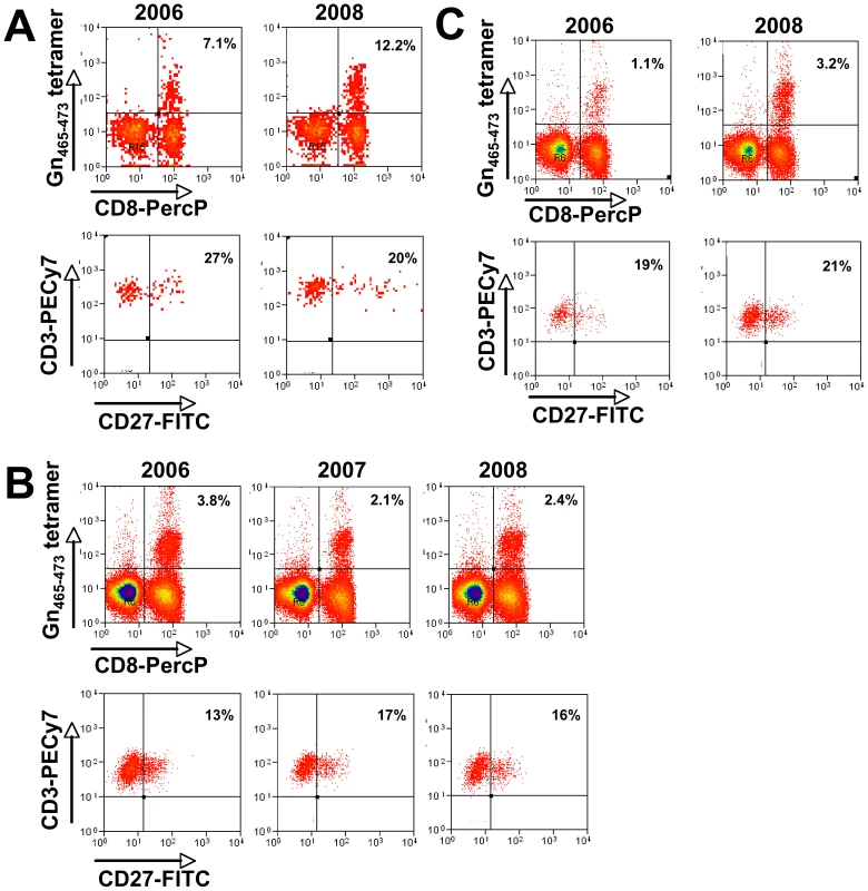 Prospective analysis of Gn<sub>465–473</sub>–specific T cells in three HLA-B*3501<sup>+</sup> individuals.