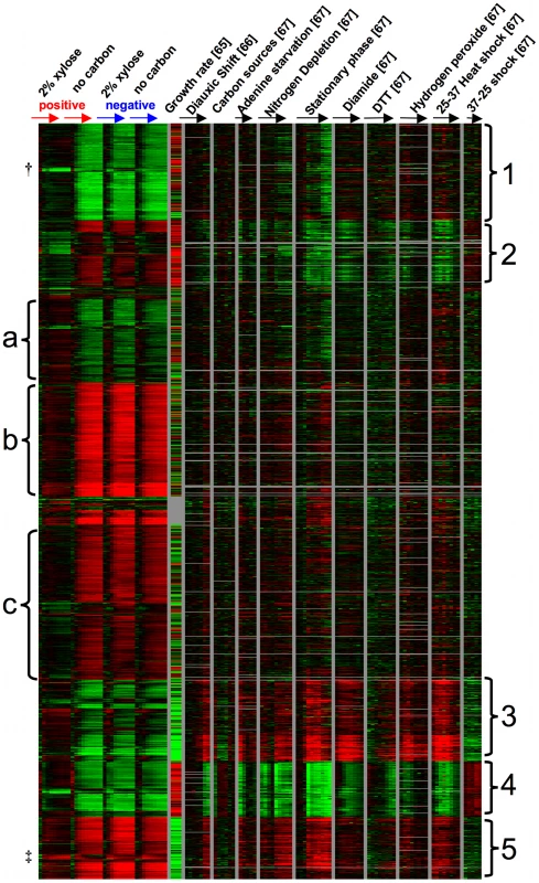 Gene expression timecourse.