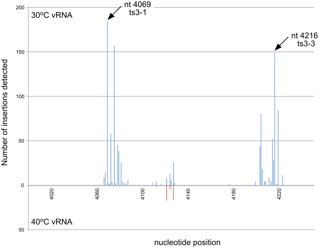 Location of nsP3 temperature sensitive mutants.