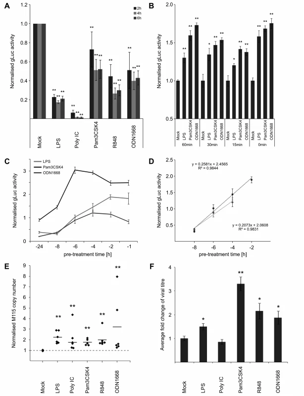 IE temporal gate for TLR-triggered signalling to boost IE-gene expression and viral replication.