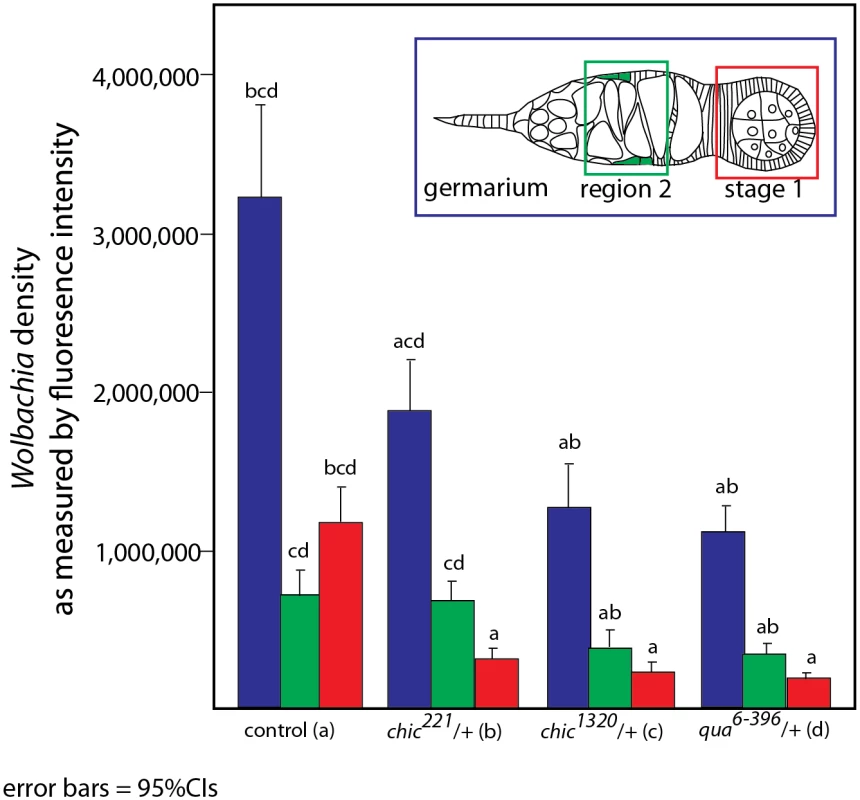 Quantification of reduction in <i>Wolbachia</i> titer during oogenesis, within the entire germarium (in blue), region 2, including the somatic stem cell niche (SSCN, green) and early egg chambers (stage 1, red).