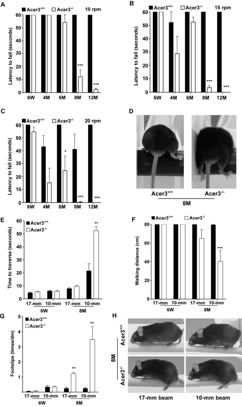 Acer3 knockout impairs motor coordination and balance capabilities in mice.