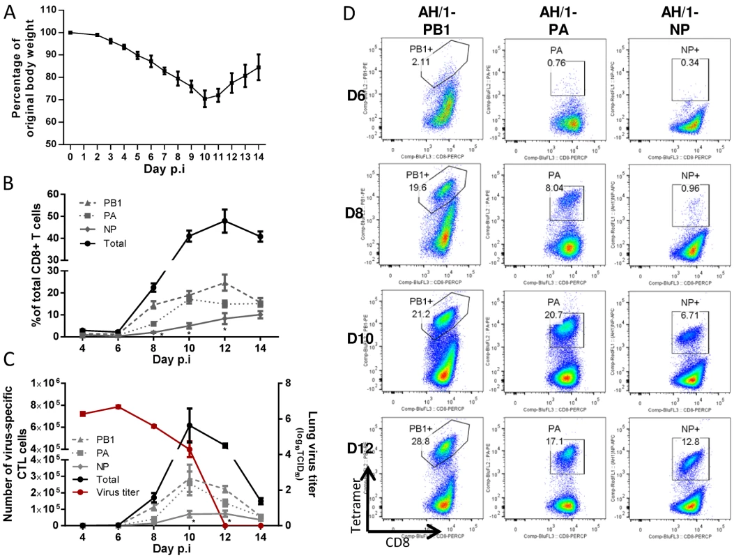 The disease course and primary CTL responses in naive mice after infection with the H7N9 IAV.