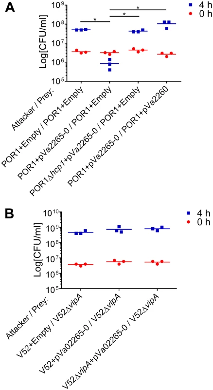 <i>V</i>. <i>parahaemolyticus</i> T6SS1 can deliver an “orphan” <i>V</i>. <i>alginolyticus</i> MIX V-effector.