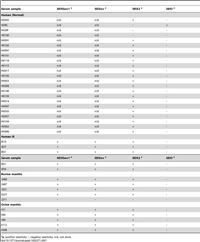 Immunoreactivity of recombinant SAg variants with sera from healthy humans, and bovine, ovine and human patients recovering from <i>S. aureus</i> infections.