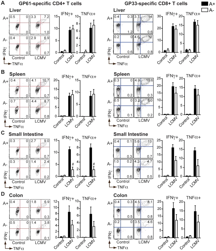 LCMV-specific T<sub>H</sub>1 responses in the intestinal mucosa are dependent on vitamin A metabolites.