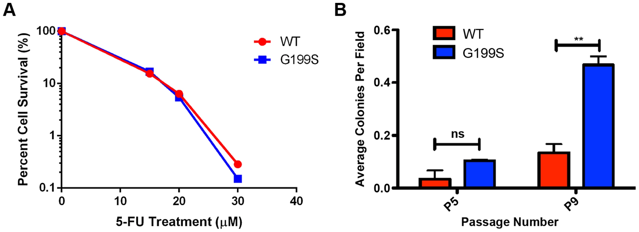 5-FU accelerates cellular transformation in G199S-expressing cells.