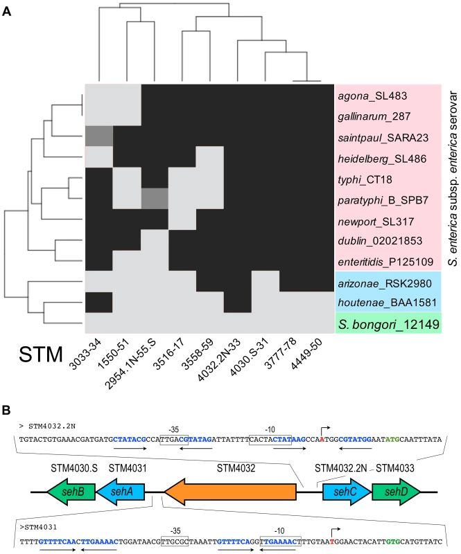 Conservation of TA modules across the genus <i>Salmonella</i>.