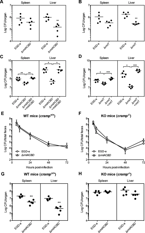 WTA l-rhamnosylation is necessary for AMP resistance <i>in vivo</i> and <i>Lm</i> virulence.