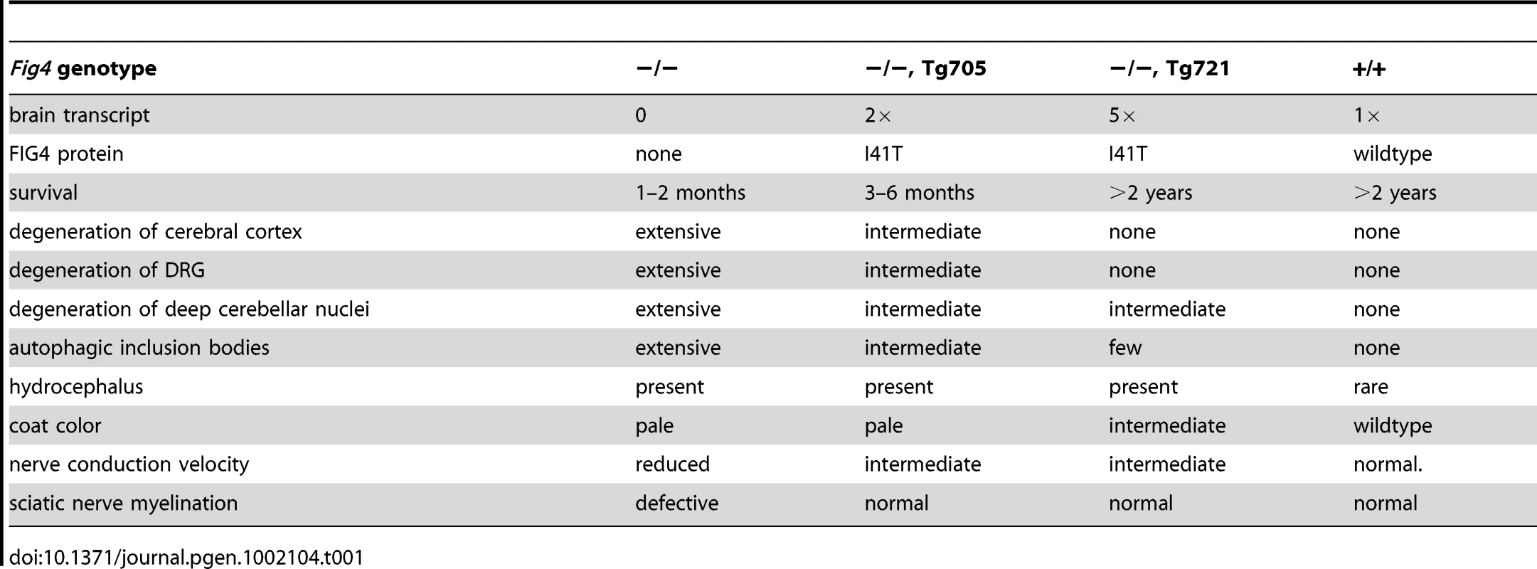 Rescue of various phenotypes of the <i>Fig4</i> null mice by the Tg705 and Tg721 I41T transgenes.