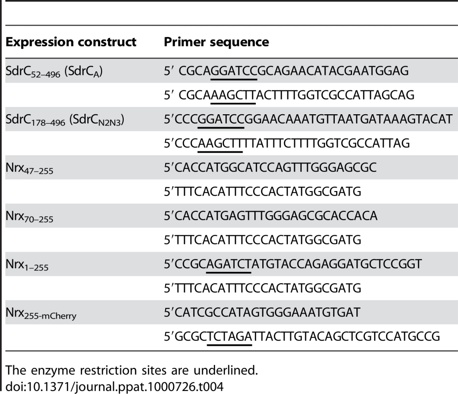 Oligonucleotide primers used to amplify gene fragments.