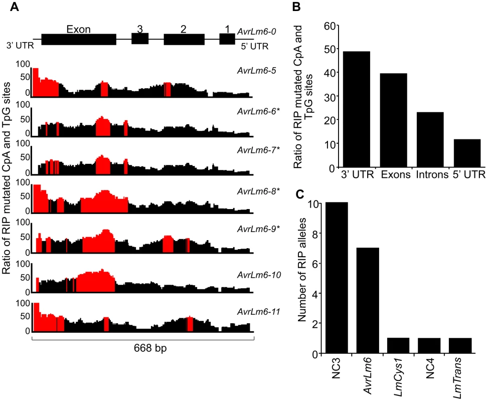 Distribution of RIP mutations across the <i>AvrLm1-LmCys2</i> genomic region in <i>Leptosphaeria maculans</i>.