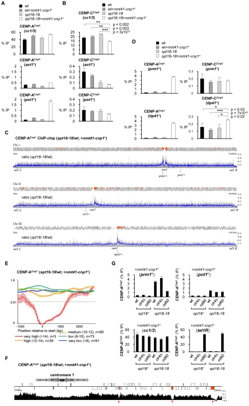 Spt16 prevents promiscuous incorporation of CENP-A<sup>Cnp1</sup>.