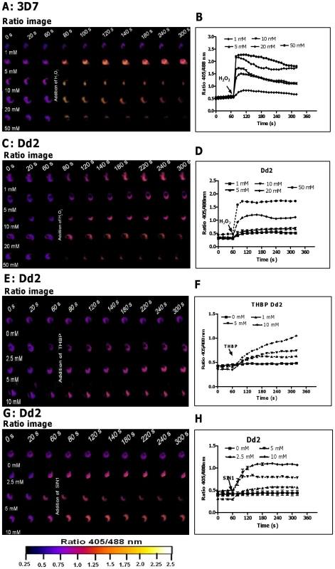 hGrx1-roGFP2 is suitable for monitoring the effects of oxidative and nitrosative stress on the glutathione redox potential.