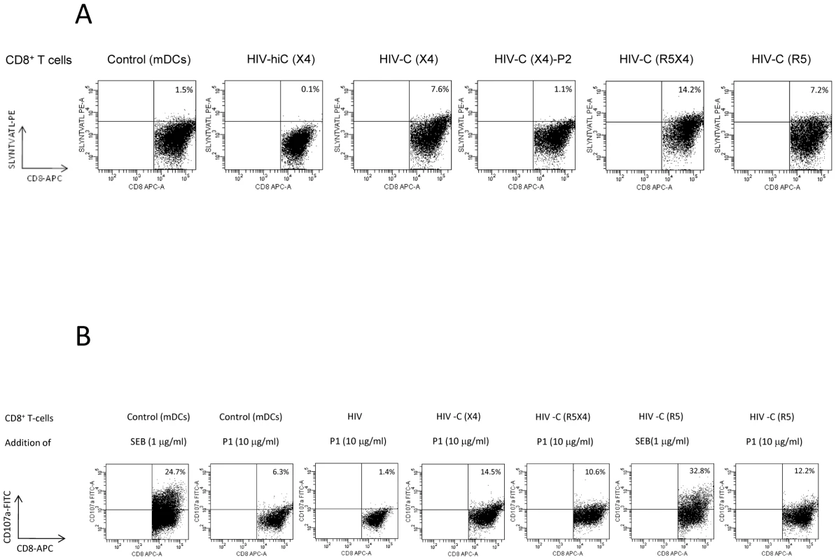 Specificity and degranulation of HIV-C-DC-primed CTLs.