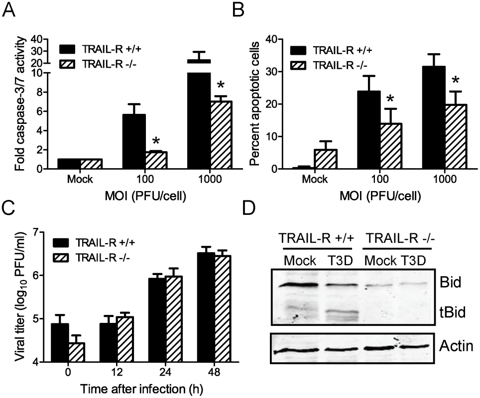 Death signaling via TRAIL-R contributes to Bid cleavage and apoptosis induction following reovirus infection.