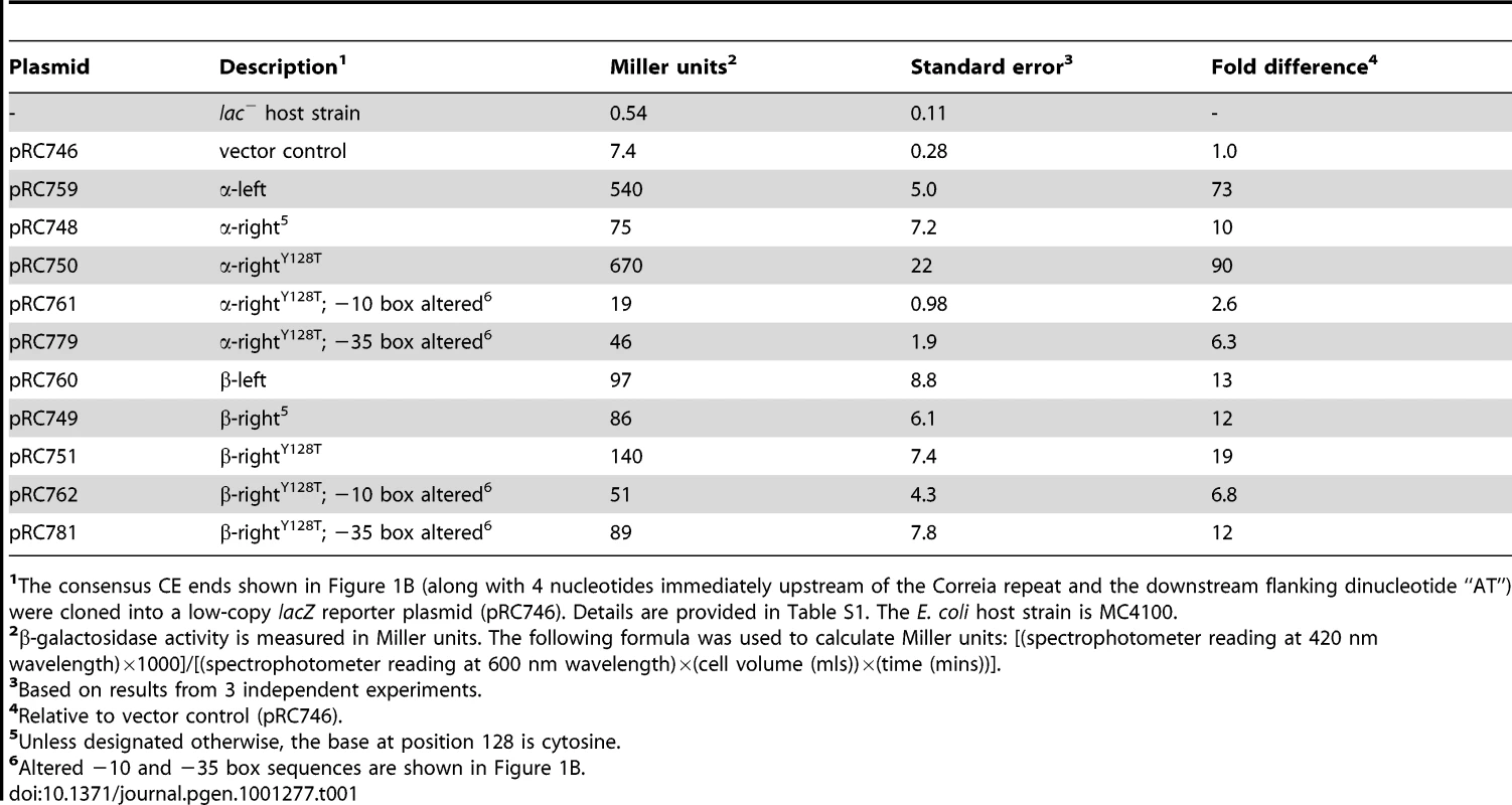 β-galactosidase reporter assays for consensus Correia ends.