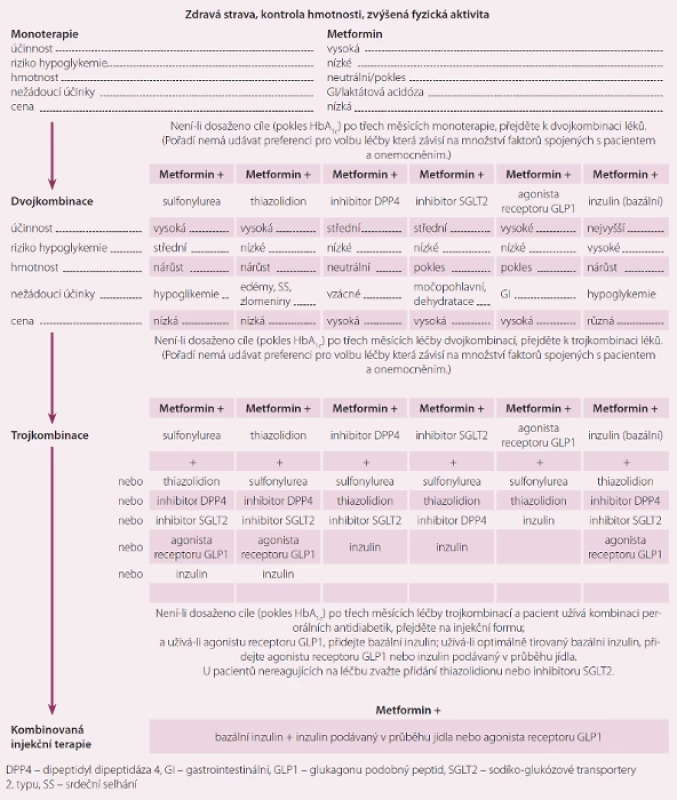 Doporučení pro léčbu diabetes mellitus 2. typu dle ADA (American Diabetic Association).