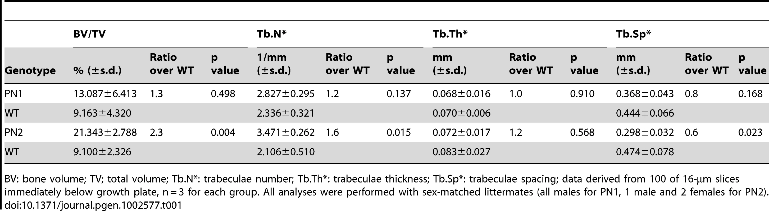 μCT analyses of PN1 and PN2 at 8 weeks of age.