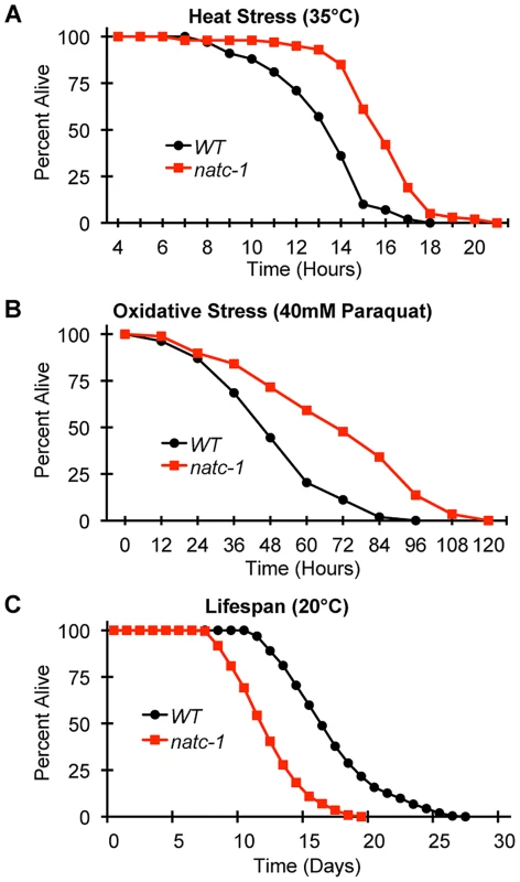 <i>natc-1</i> mutations increase resistance to heat and oxidative stress.