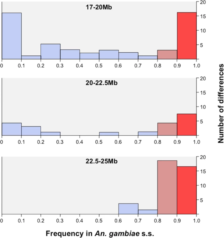 Field population frequency distribution of protein coding SNPs identified in RbSS.