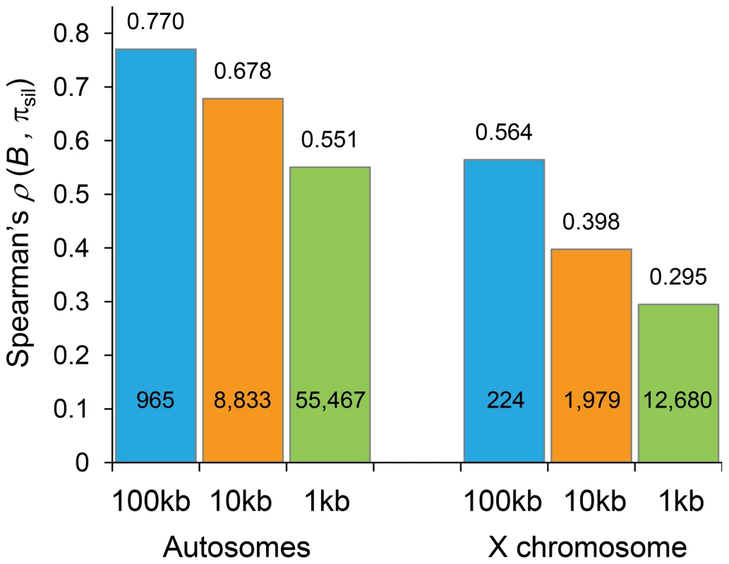 Correlation coefficients between estimates of <i>B</i> and levels of polymorphism at noncoding sites (π<sub>sil</sub>).