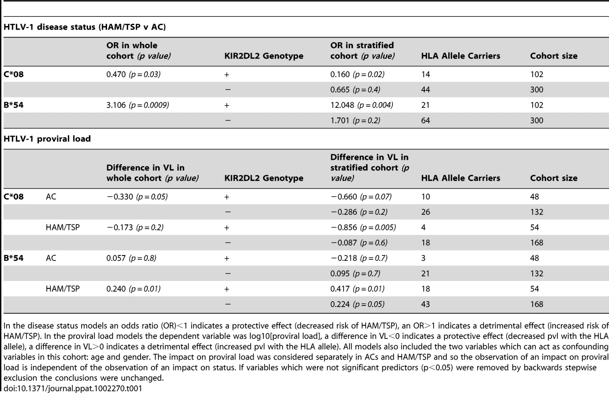 <i>KIR2DL2</i> in HTLV-1 infection: <i>KIR2DL2</i> enhances the protective effect of <i>C*08</i> and the detrimental effect of <i>B*54</i> on HAM/TSP risk and, independently, on proviral load.