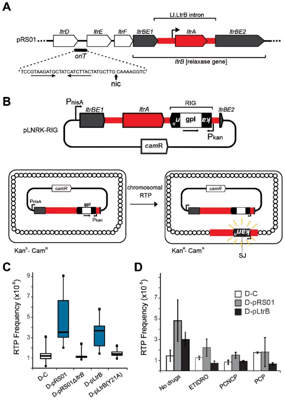 Relaxase-stimulated Ll.LtrB intron retrotransposition.