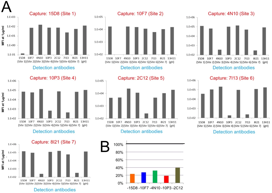 HCMV Pentamer antibody binding competition.
