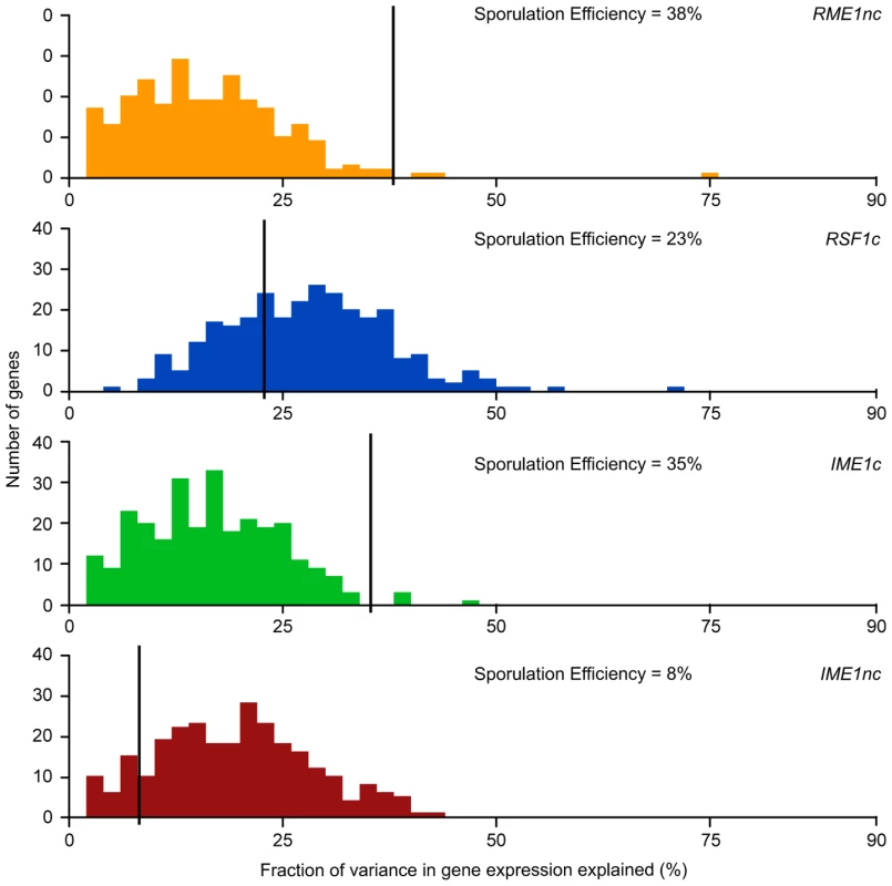 Histogram of total fraction (%) of gene expression variance explained by each QTN.
