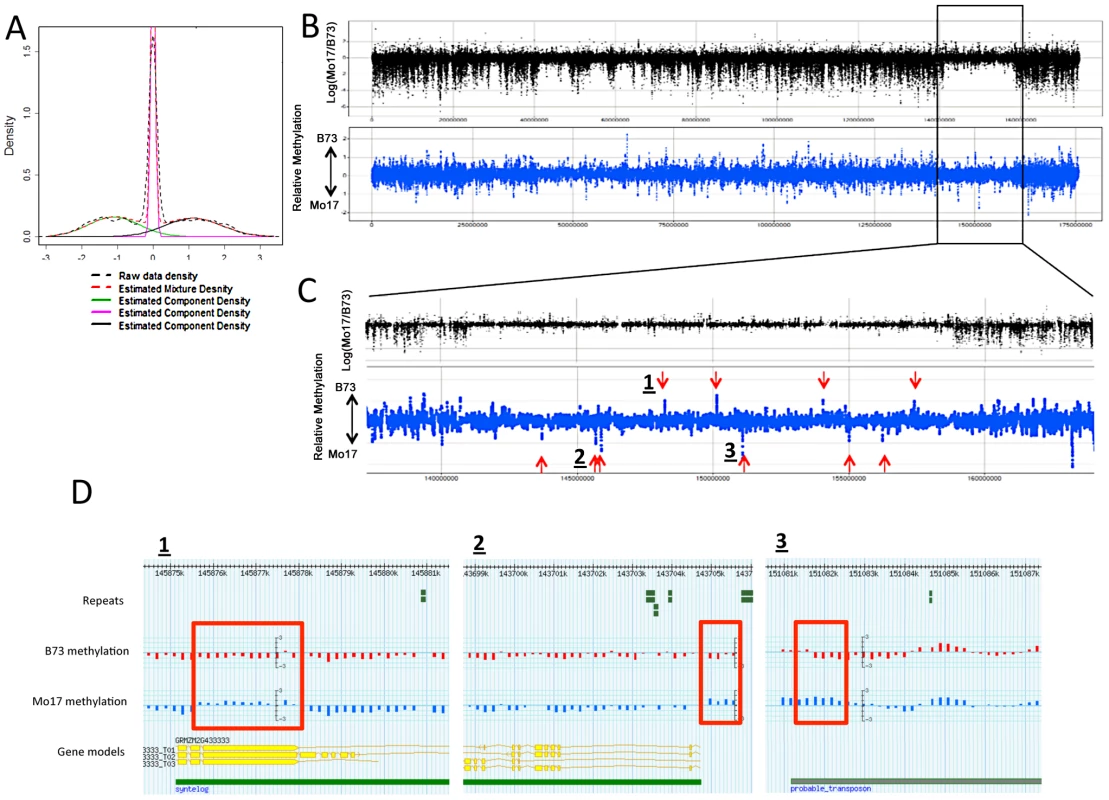 DMRs in B73 and Mo17.