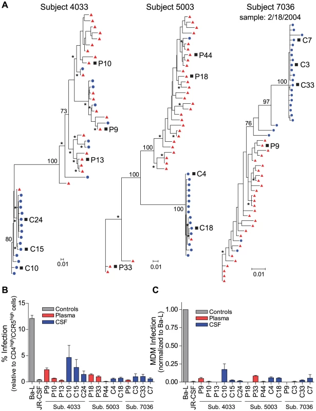 Compartmentalized R5 T cell-tropic HIV-1 populations are found in the CSF of subjects diagnosed with HAD.