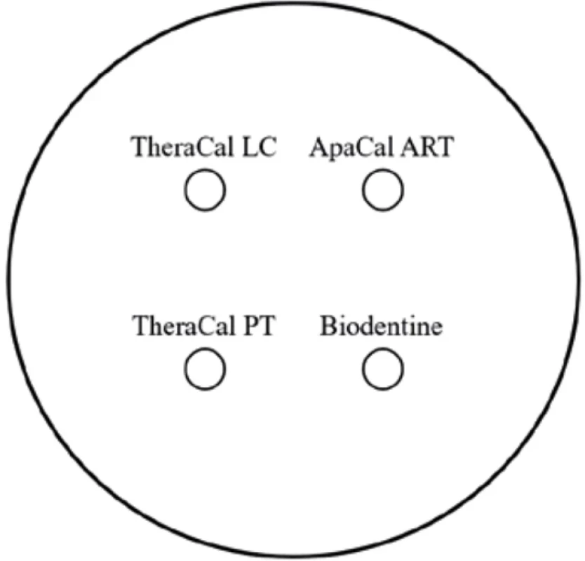 Schéma lokalizace vzorků na ploše agaru. Fig. 1 Diagram showing the localization of samples on the agar surface.