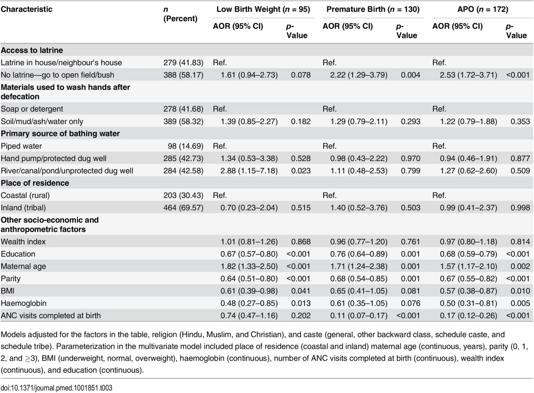 Multivariable adjusted models for the association between sanitation characteristics and adverse pregnancy outcomes (<i>n</i> = 667).