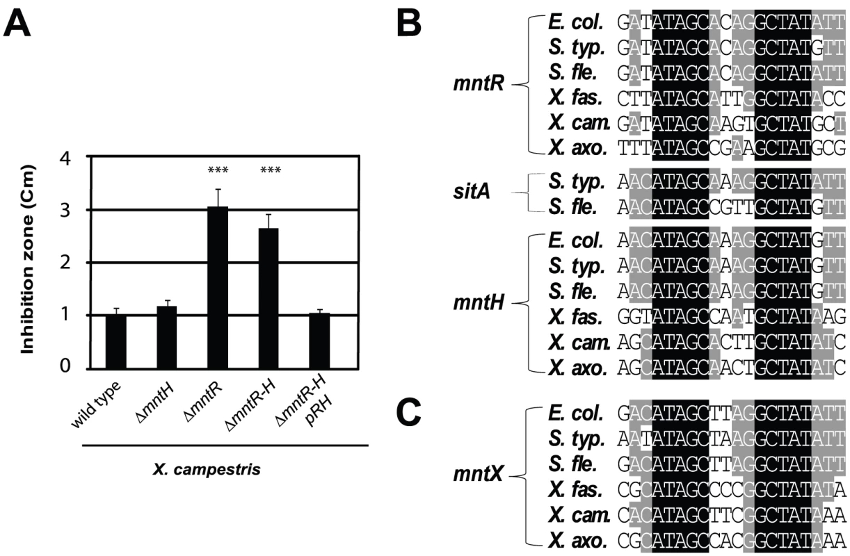Search for Mn<sup>2+</sup>-regulated bacterial factor(s) in a simple model organism.