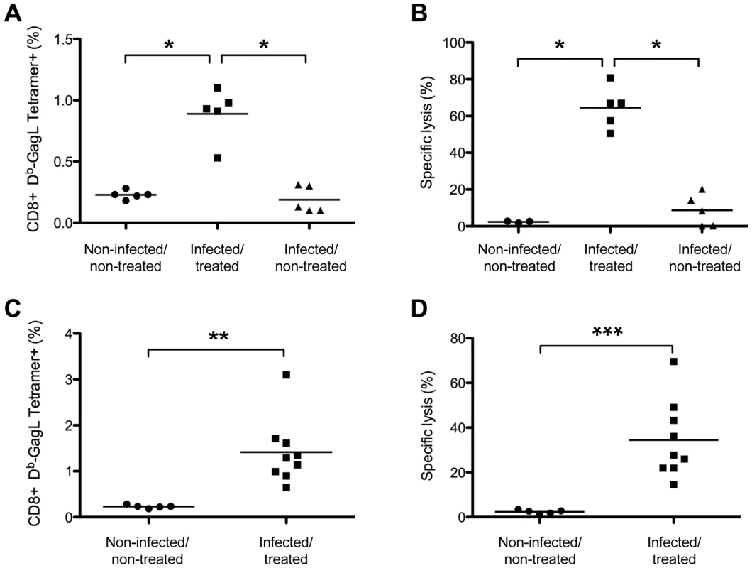Long-term CTL memory responses in infected/treated animals versus control mice.
