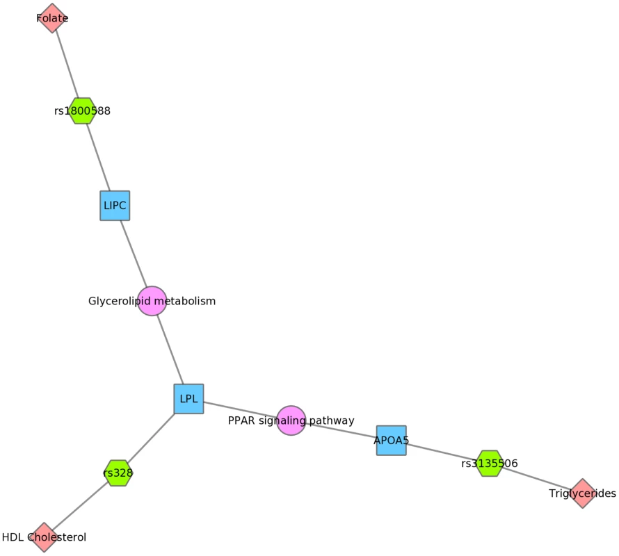 Using PheWAS results, Biofilter, and Cytoscape to explore gene-gene connections with KEGG connections.