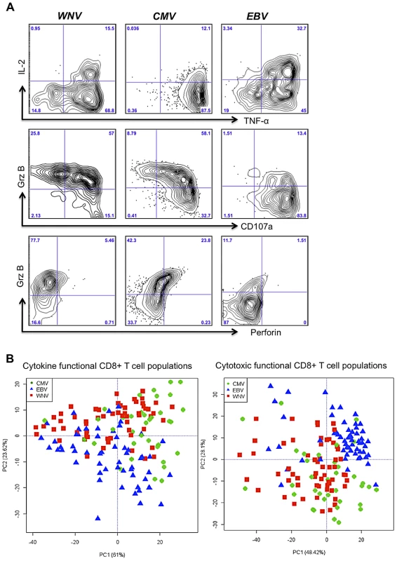 CD8+ T cell polyfunctionality is virus-specific.