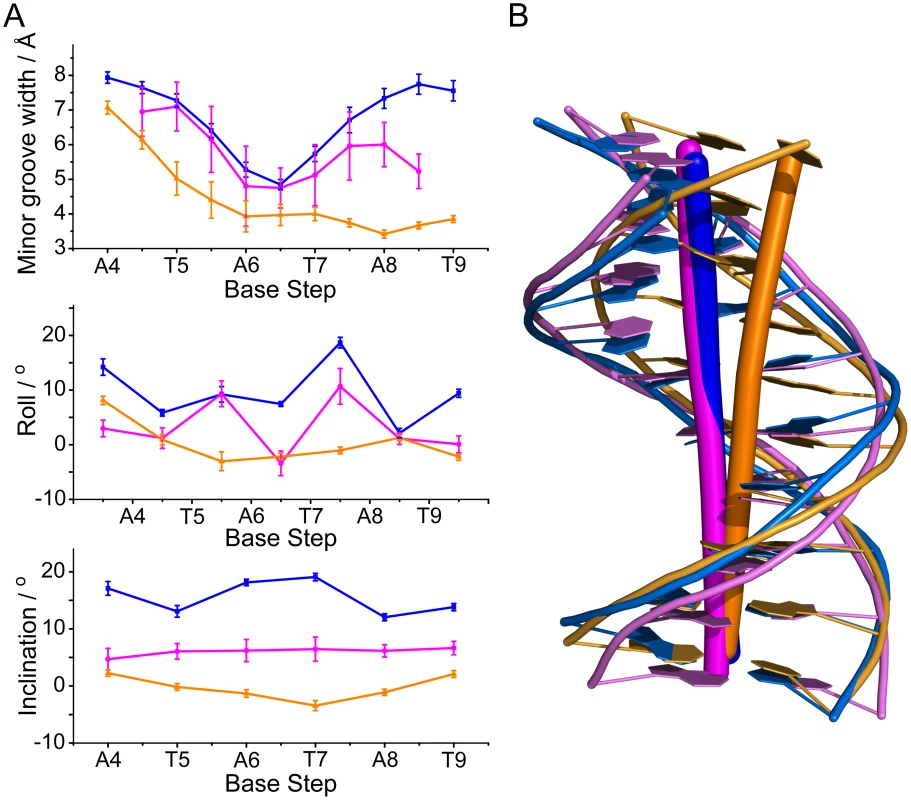Analysis of MvaT<sub>ctd</sub>-bound DNA conformation.