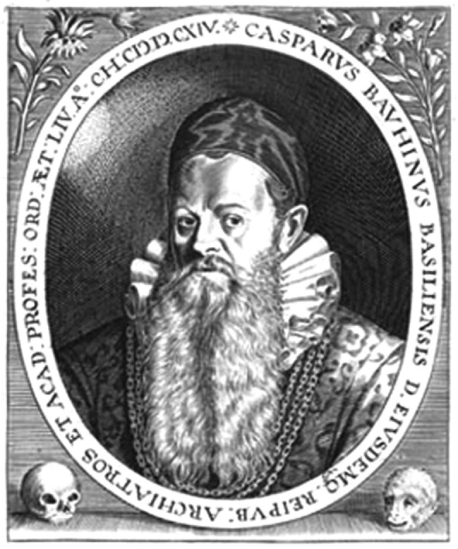 Gaspard (Caspar) Bauhin
